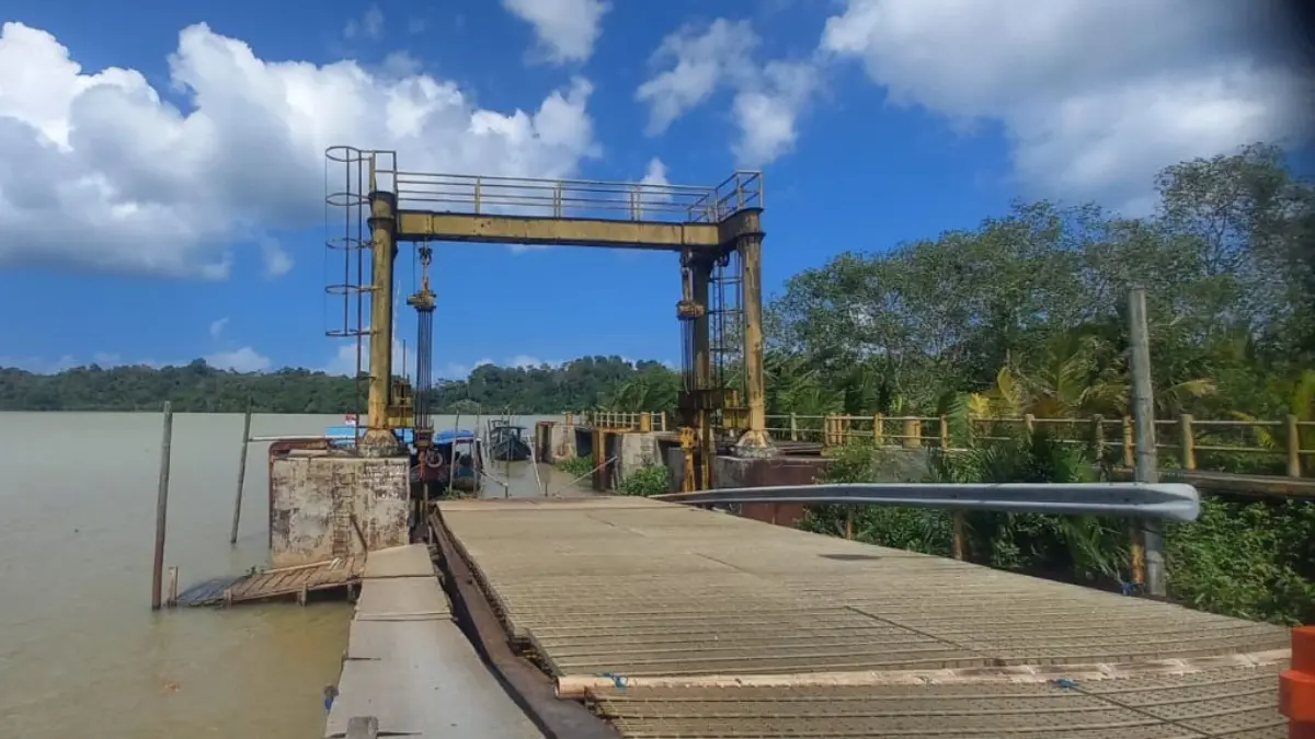 Tawon Alas Adventure: Jembatan Menuju Alam Cilacap